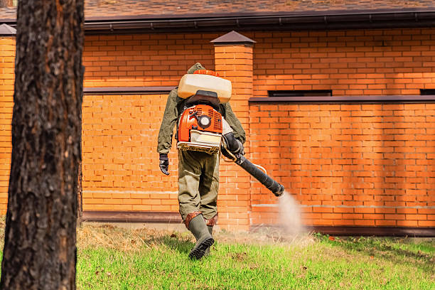 Trusted Mosquito Control service in Bingham Farms, MI - Nex Pest Control